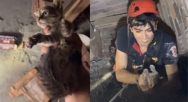 Yavru kedi mahsur kaldığı yerden kurtarıldı