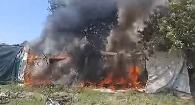 Zeytinlikte yangın çıktı, kulübe ve çok sayıda ağaç küle döndü!