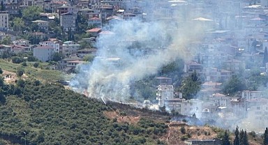 Ağaçlık alan alevlere teslim oldu!