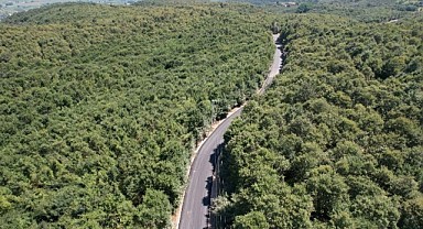 Bu güzergah alternatif olacak!