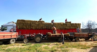 Çanakkale’deki yangın mağduru çiftçilere destek!