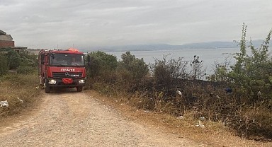 Darıca'da otluk alanda yangın çıkarıp kaçtı!