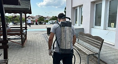 Darıca’da sivrisineklere karşı etkin mücadele