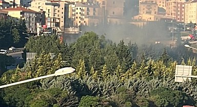 Gebze'de ağaçlık alan alevlere teslim oldu!