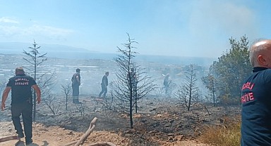 Gebze’de ağaçlık alan alevlere teslim oldu!