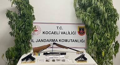 Karamürsel’de 35 kök kenevir ele geçirildi!