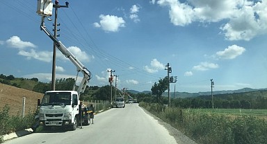 Leyleklerin göç yolculuğunda güvenlik tedbiri!