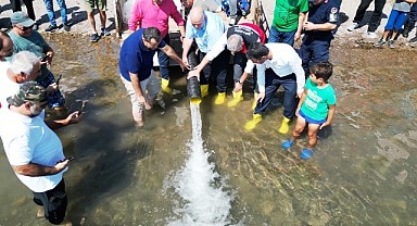 Sapanca Gölü'ne 100 bin balık salındı