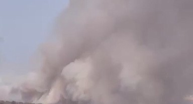 TÜBİTAK'ta ormanlık alanda büyük yangın!