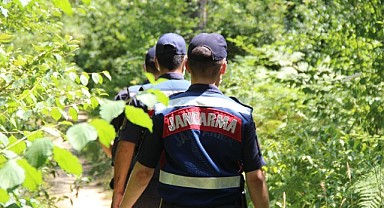 Valilik duyurdu: Ormanlara girmek yasak!