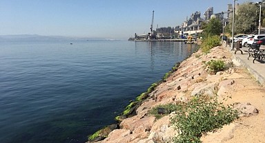 Balık avlamak için girdiği denizde can verdi!