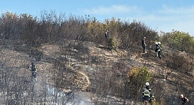 Gebze'de orman yangını!
