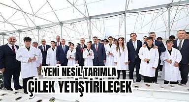 Ar- Ge serasına çilek fideleri dikildi