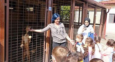 Çocuklar, sokak hayvanlarıyla buluştu!