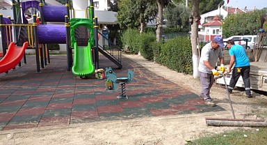 Darıca’daki 126 park yenileniyor!