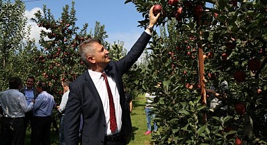 Gölcük’te 2 ton elma dağıtıldı!