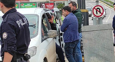 Elinde nar taşıyan yayaya çarptı! Sinir krizi geçirdi