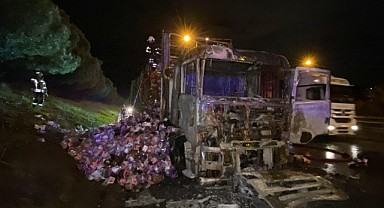 Seyir halindeki tır alevlere teslim oldu