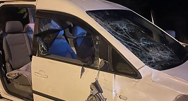 Ticari araç, büyükbaş hayvanlara çarptı!4 kişi yaralandı