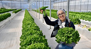 Volkanik cürüfle üretilen bitkilerin hasadı başladı