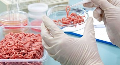 Yeme düzeni nereye gidiyor? 2050’de böcek yiyebiliriz