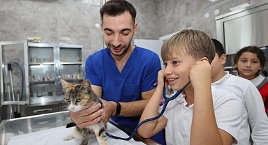 2023’de Gebze’de 145 sokak hayvanı sahiplendirildi