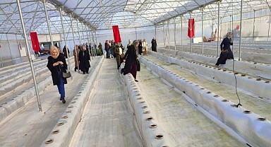 Kadın çiftçiler topraksız tarım serasını incelediler