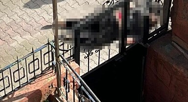 Karısını öldüren şahıstan akıl almaz savunma!