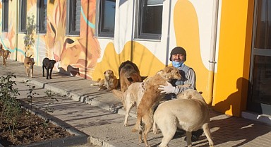 “Köpeklerde çeteleşmeyi sahiplenme ile önleriz”