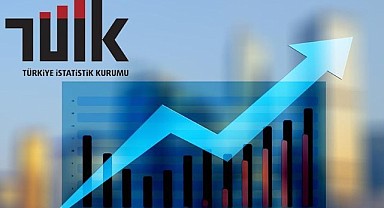 TÜİK Yurt Dışı Üretici Fiyat Endeksini açıkladı