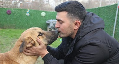 Yürüyemez denilen köpek tedaviyle sağlığına kavuştu!