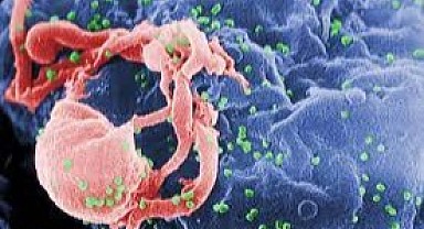 Dikkat! HIV vakaları Türkiye’de artışta