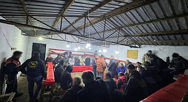 Gebze'de horoz dövüşüne jandarma baskını!