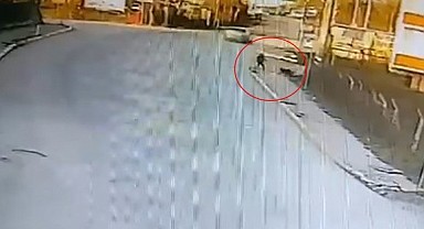 Kandıra’da başıboş köpekler çocuğa saldırdı!