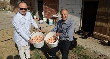 Büyükşehir, % 50 hibeli yumurta tavuğu desteği verecek