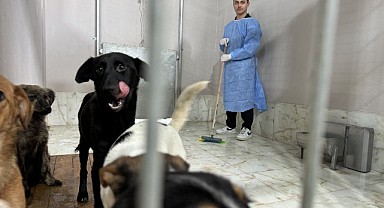 Gönüllü öğrenciler, can dostlarını ziyaret etti