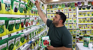 Kent sakinleri bahçe özlemini saksıda gideriyor