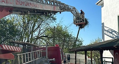 Leyleklerin imdadına A Takımı yetişti