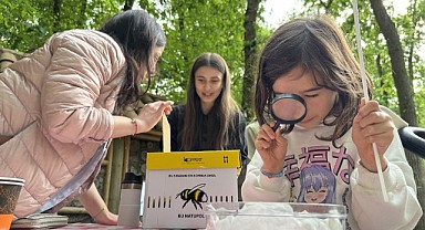 Nadir böcek türlerini Ormanya’da incelediler