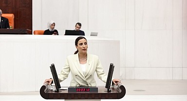 Rıvzanoğlu, Dilovası'ndaki asbest tehlikesini meclise taşıdı