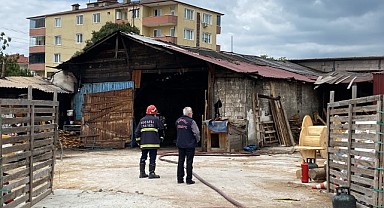 Alevlerden kaçan kediyi veteriner hekim kurtardı