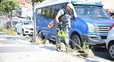 Çayırova'da yeşil alan çalışmaları sürüyor