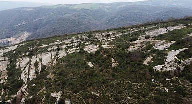 Dragon Vadisi, doğaseverlerin ilgi odağı oldu