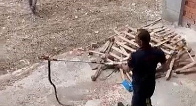 İnşaat halindeki binadan yılan çıktı!