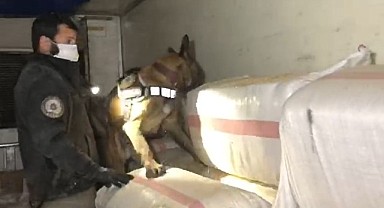 Saman yüklü tırda 99 kilo 250 gram eroin yakalandı