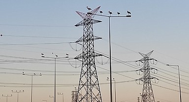SEDAŞ'tan leylek tedbiri! Olası riskleri ortadan kaldırıyor