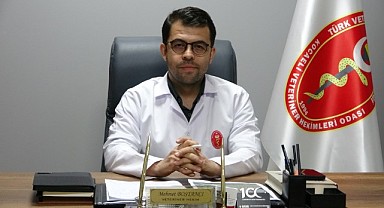 Valiliğin sokak hayvanları açıklamasına veterinerlerden destek geldi