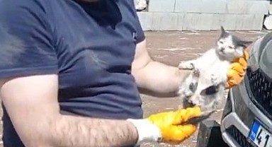 Aracın motoruna sıkışan kedi kurtarıldı