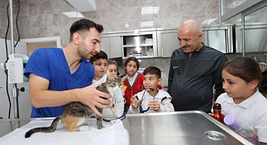 Gebze’de 20 bin 196 sokak hayvanı tedavi edildi