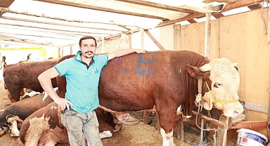 Gebze'de kurban satış alanları hazır